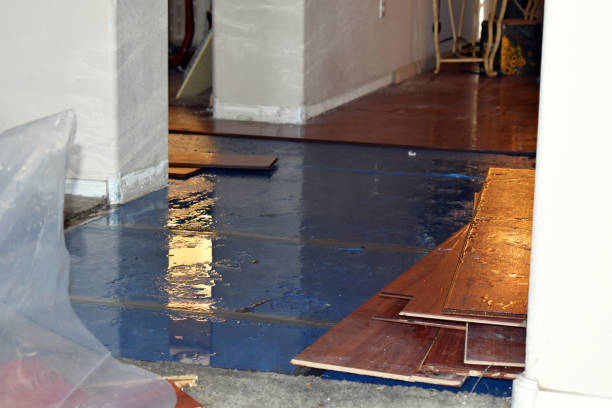 Professional Structural Drying technician working in Flanders, NY